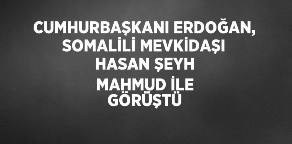 CUMHURBAŞKANI ERDOĞAN, SOMALİLİ MEVKİDAŞI HASAN ŞEYH MAHMUD İLE GÖRÜŞTÜ