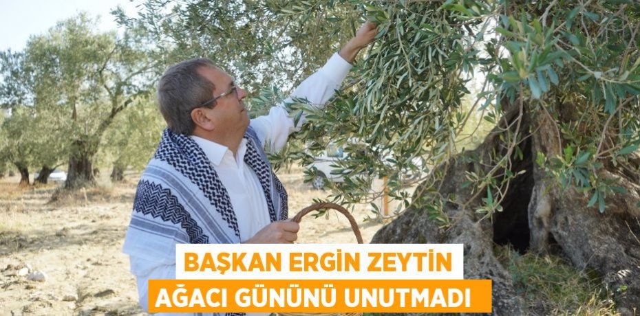 BAŞKAN ERGİN ZEYTİN AĞACI GÜNÜNÜ UNUTMADI 