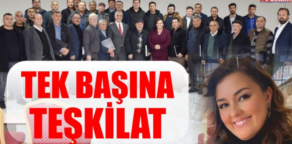 TEK BAŞINA TEŞKİLAT