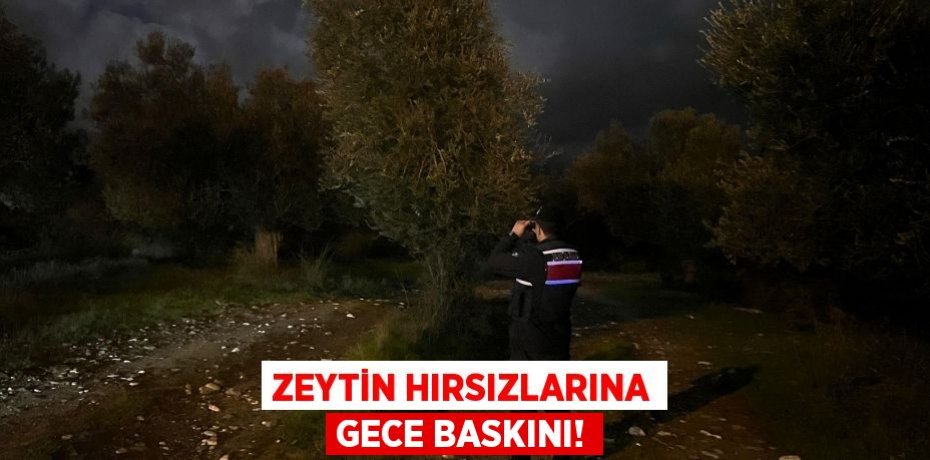 Zeytin hırsızlarına gece baskını!