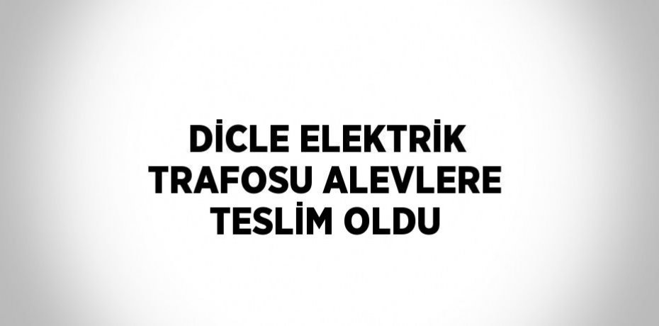 DİCLE ELEKTRİK TRAFOSU ALEVLERE TESLİM OLDU
