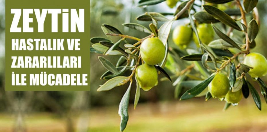 ÇALIŞMA BAŞLATILDI