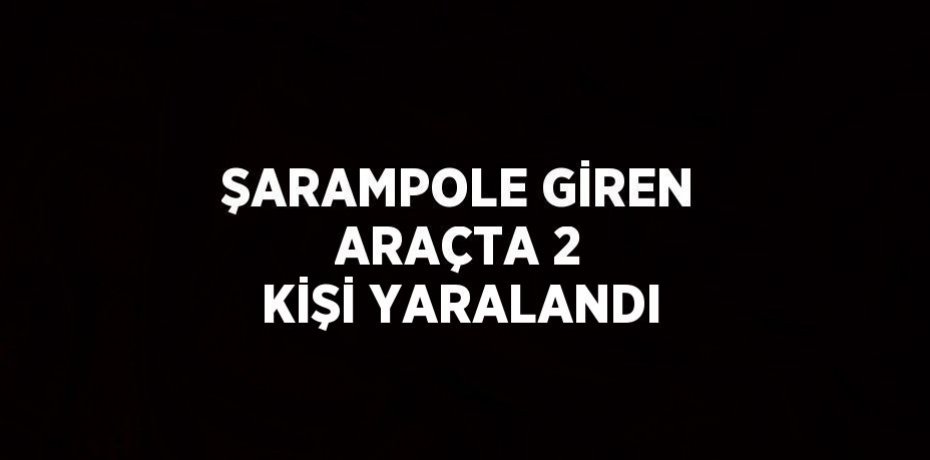 ŞARAMPOLE GİREN ARAÇTA 2 KİŞİ YARALANDI