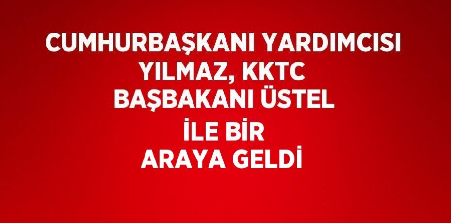 CUMHURBAŞKANI YARDIMCISI YILMAZ, KKTC BAŞBAKANI ÜSTEL İLE BİR ARAYA GELDİ