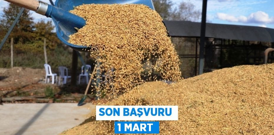 SON BAŞVURU 1 MART