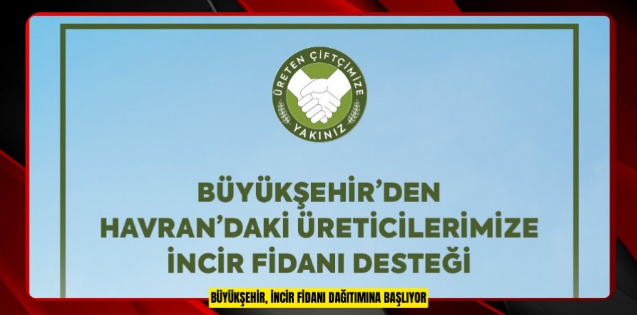 BÜYÜKŞEHİR, İNCİR FİDANI DAĞITIMINA BAŞLIYOR