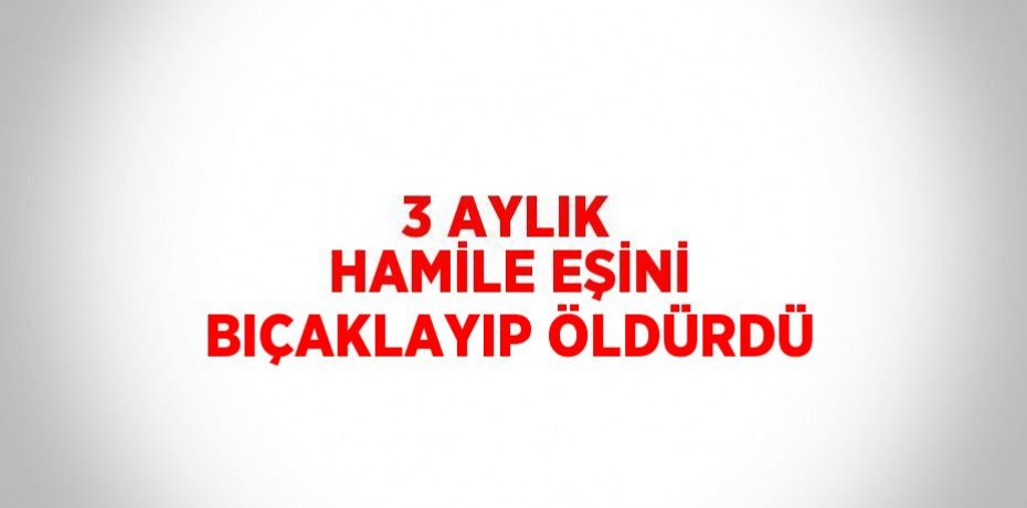 3 AYLIK HAMİLE EŞİNİ BIÇAKLAYIP ÖLDÜRDÜ