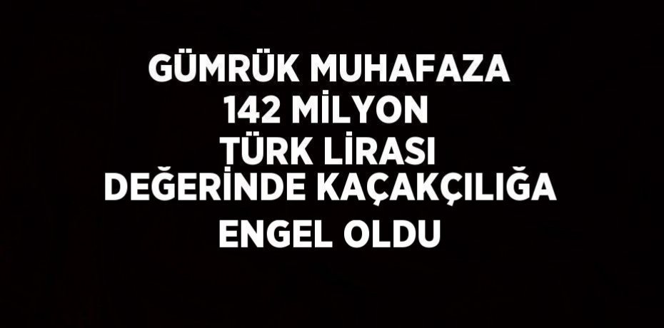 GÜMRÜK MUHAFAZA 142 MİLYON TÜRK LİRASI DEĞERİNDE KAÇAKÇILIĞA ENGEL OLDU