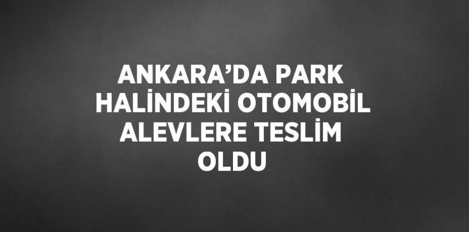 ANKARA’DA PARK HALİNDEKİ OTOMOBİL ALEVLERE TESLİM OLDU