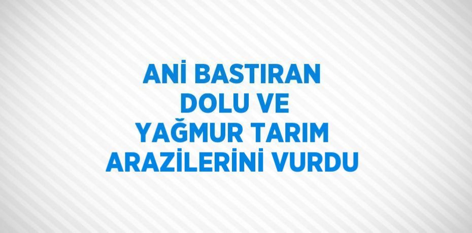 ANİ BASTIRAN DOLU VE YAĞMUR TARIM ARAZİLERİNİ VURDU