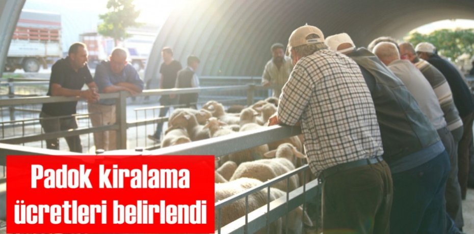 Padok kiralama ücretleri belirlendi