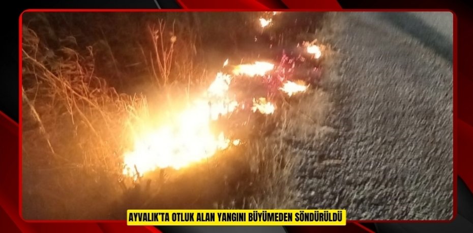 Ayvalık’ta otluk alan yangını büyümeden söndürüldü  