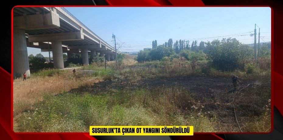 Susurluk'ta çıkan ot yangını söndürüldü  
