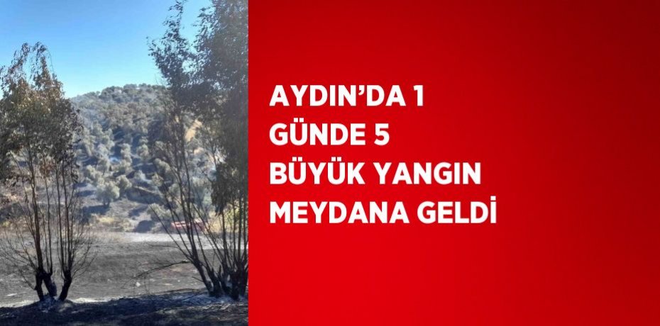 AYDIN’DA 1 GÜNDE 5 BÜYÜK YANGIN MEYDANA GELDİ