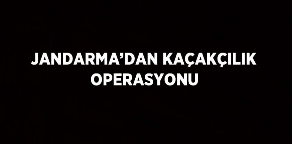 JANDARMA’DAN KAÇAKÇILIK OPERASYONU