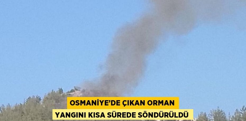 OSMANİYE’DE ÇIKAN ORMAN YANGINI KISA SÜREDE SÖNDÜRÜLDÜ