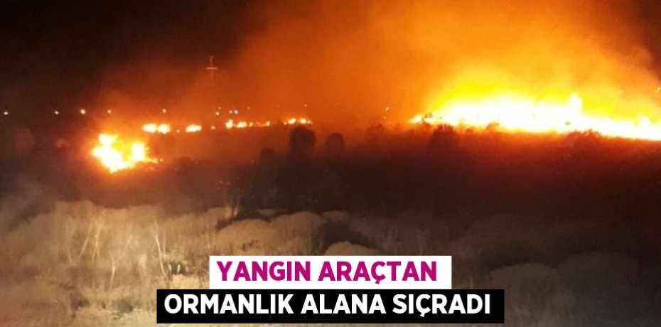 Yangın araçtan ormanlık alana sıçradı