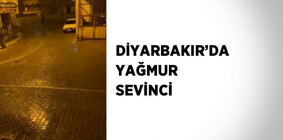 DİYARBAKIR’DA YAĞMUR SEVİNCİ