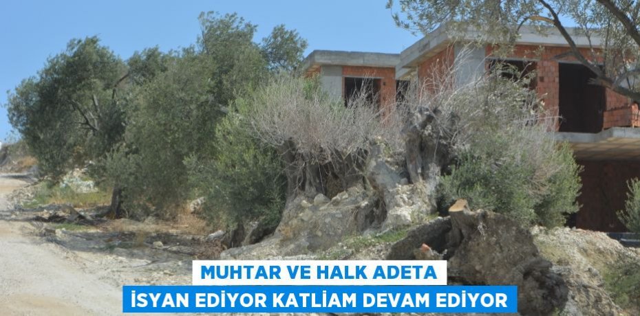 Muhtar ve halk adeta isyan ediyor katliam devam ediyor