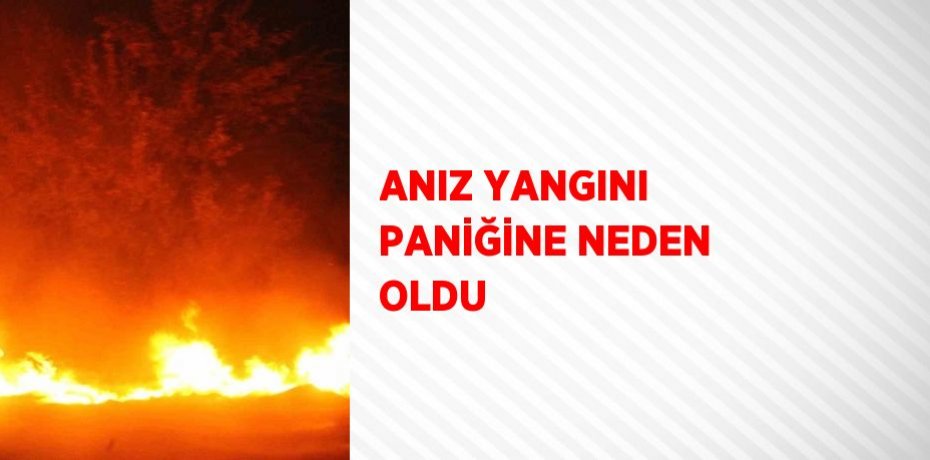 ANIZ YANGINI PANİĞİNE NEDEN OLDU