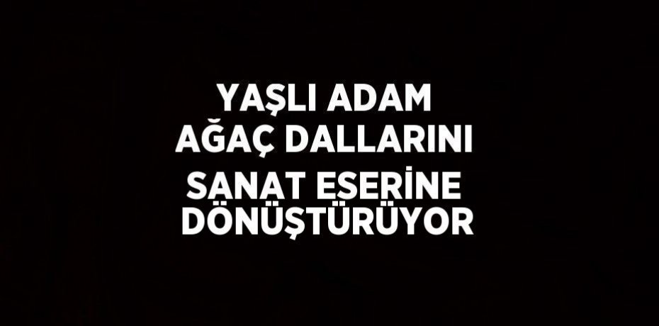 YAŞLI ADAM AĞAÇ DALLARINI SANAT ESERİNE DÖNÜŞTÜRÜYOR