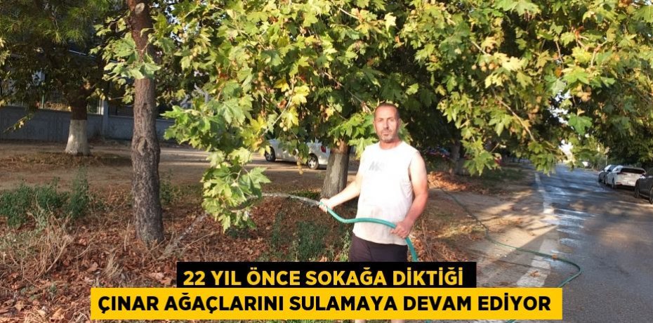 22 yıl önce sokağa diktiği çınar ağaçlarını sulamaya devam ediyor
