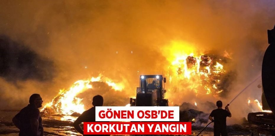 Gönen OSB'de korkutan yangın