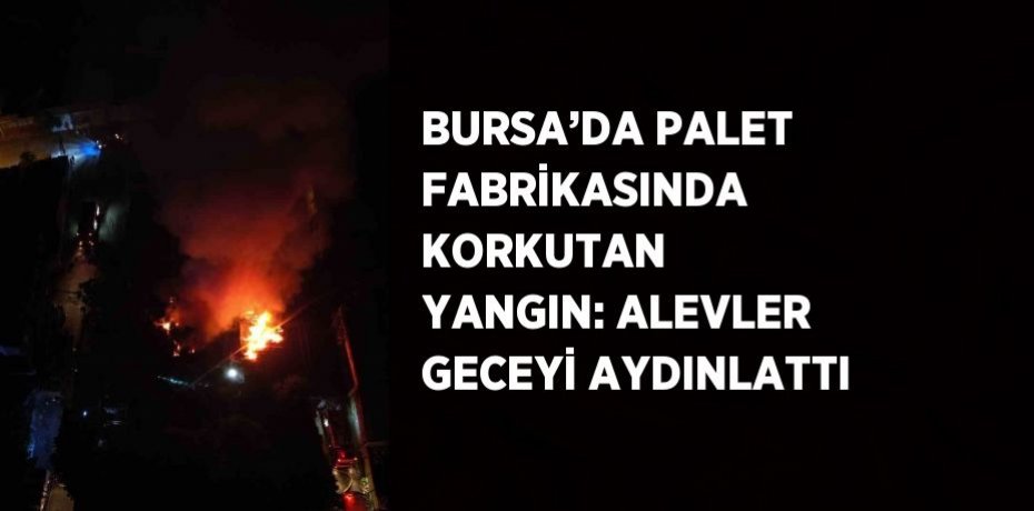 BURSA’DA PALET FABRİKASINDA KORKUTAN YANGIN: ALEVLER GECEYİ AYDINLATTI