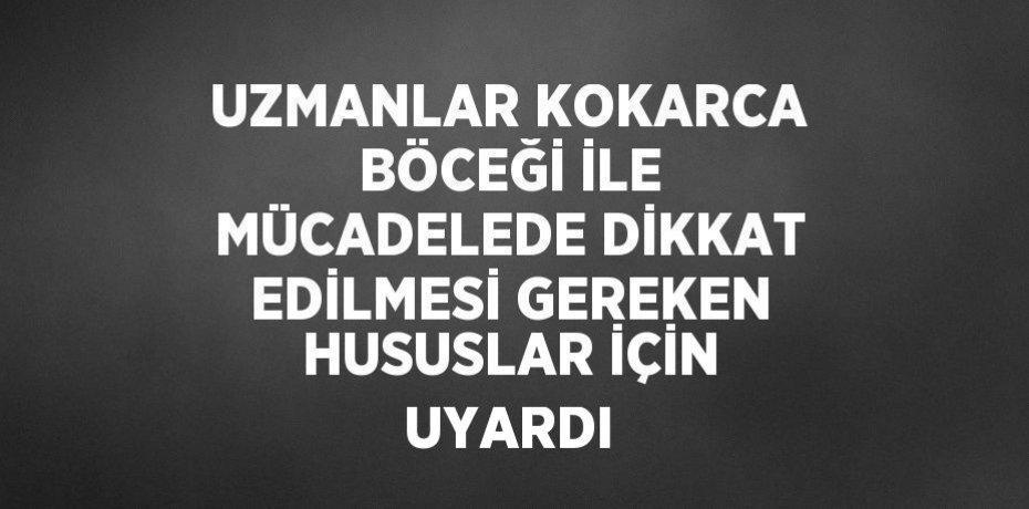 UZMANLAR KOKARCA BÖCEĞİ İLE MÜCADELEDE DİKKAT EDİLMESİ GEREKEN HUSUSLAR İÇİN UYARDI
