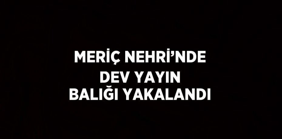 MERİÇ NEHRİ’NDE DEV YAYIN BALIĞI YAKALANDI