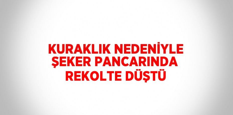 KURAKLIK NEDENİYLE ŞEKER PANCARINDA REKOLTE DÜŞTÜ