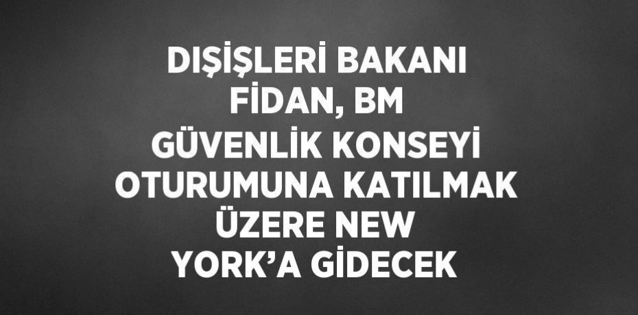 DIŞİŞLERİ BAKANI FİDAN, BM GÜVENLİK KONSEYİ OTURUMUNA KATILMAK ÜZERE NEW YORK’A GİDECEK