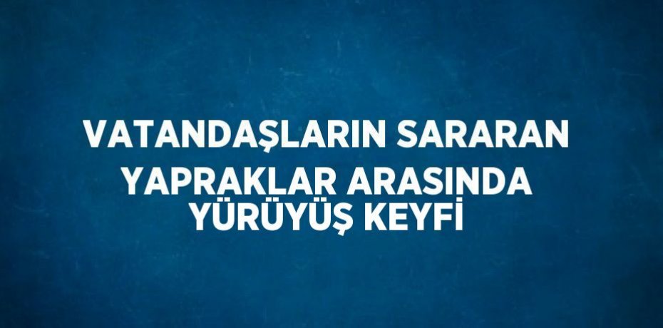 VATANDAŞLARIN SARARAN YAPRAKLAR ARASINDA YÜRÜYÜŞ KEYFİ