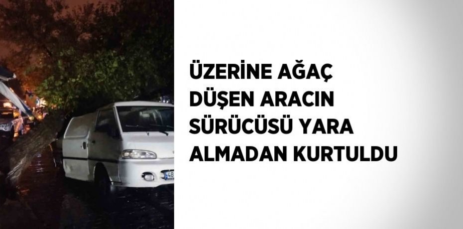 ÜZERİNE AĞAÇ DÜŞEN ARACIN SÜRÜCÜSÜ YARA ALMADAN KURTULDU