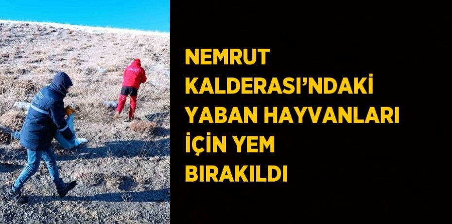 NEMRUT KALDERASI’NDAKİ YABAN HAYVANLARI İÇİN YEM BIRAKILDI
