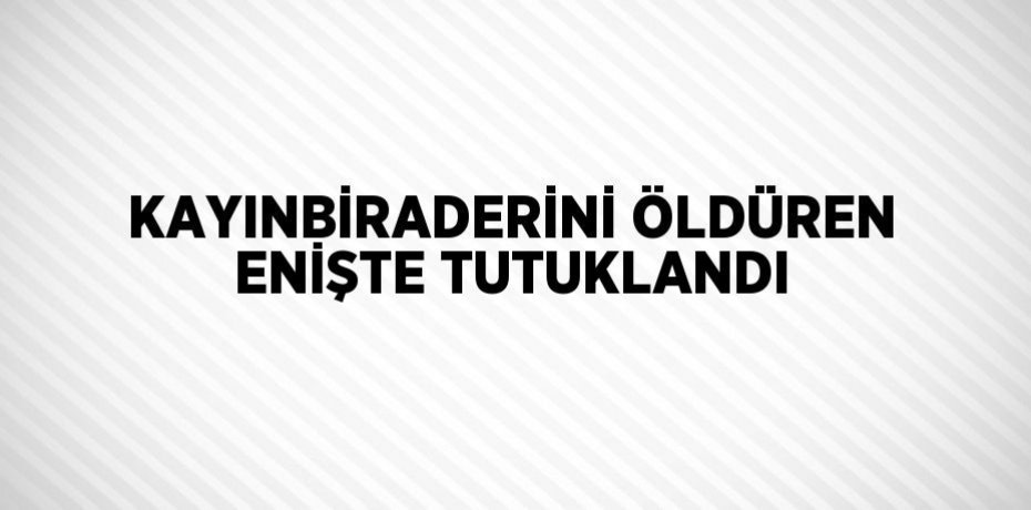 KAYINBİRADERİNİ ÖLDÜREN ENİŞTE TUTUKLANDI