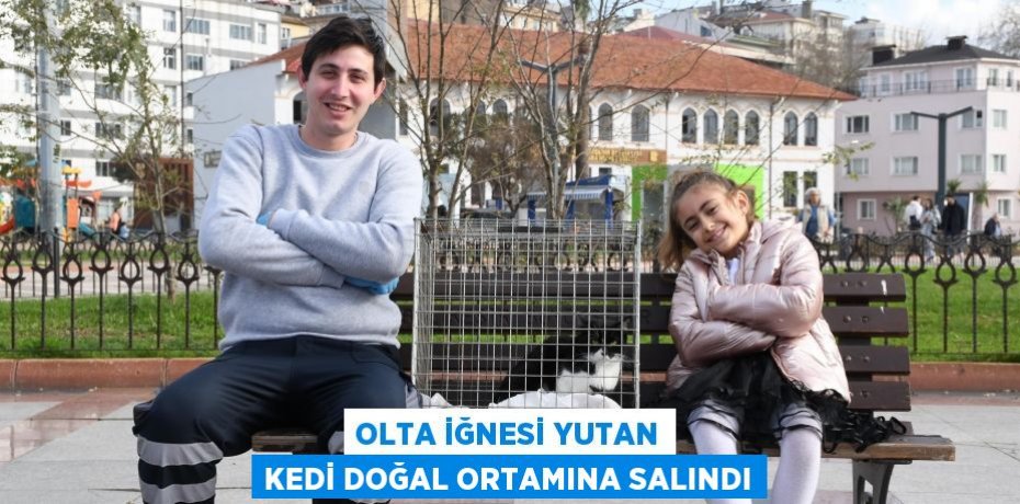 Olta iğnesi yutan kedi doğal ortamına salındı