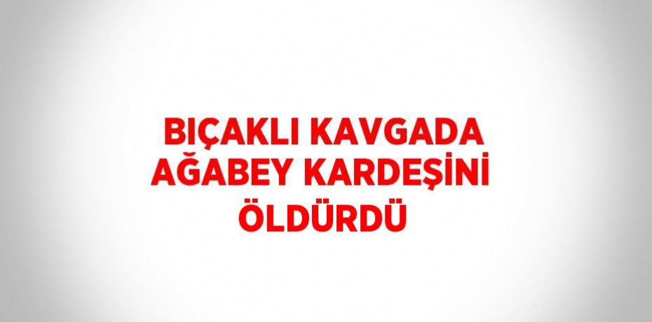 BIÇAKLI KAVGADA AĞABEY KARDEŞİNİ ÖLDÜRDÜ