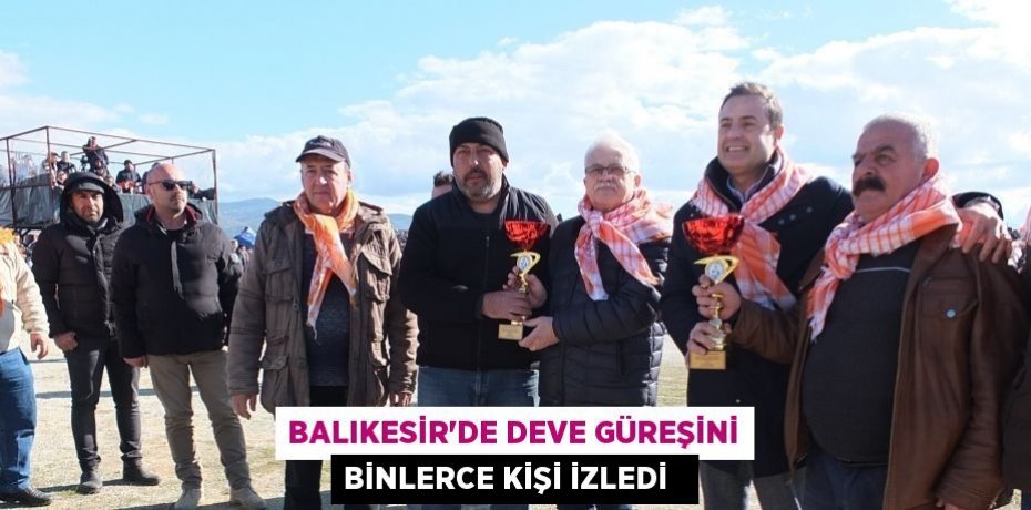 Balıkesir’de deve güreşini binlerce kişi izledi  