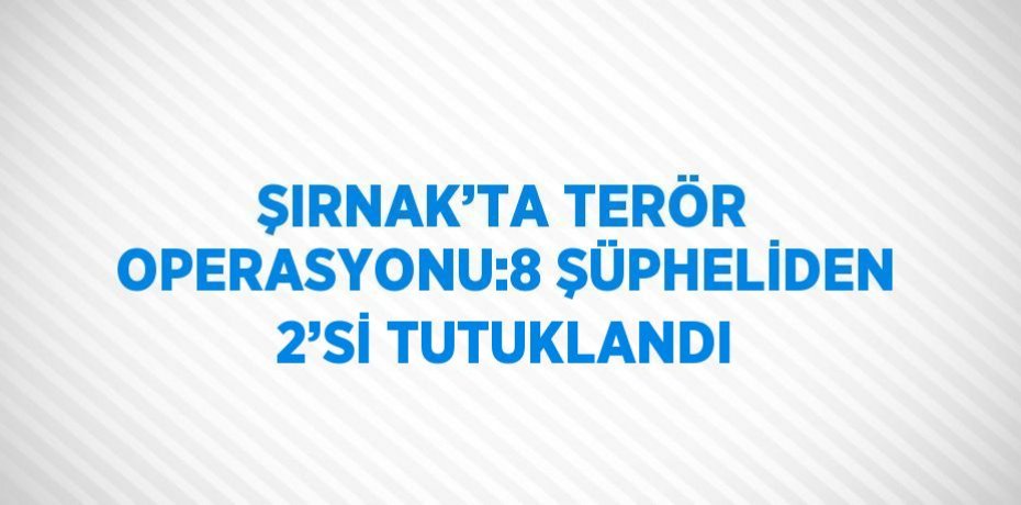 ŞIRNAK’TA TERÖR OPERASYONU:8 ŞÜPHELİDEN 2’Sİ TUTUKLANDI
