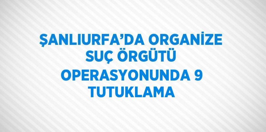 ŞANLIURFA’DA ORGANİZE SUÇ ÖRGÜTÜ OPERASYONUNDA 9 TUTUKLAMA