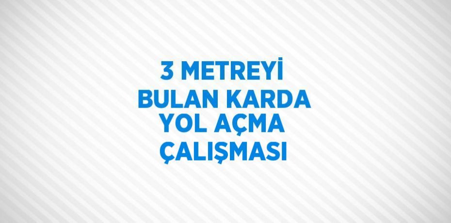 3 METREYİ BULAN KARDA YOL AÇMA ÇALIŞMASI