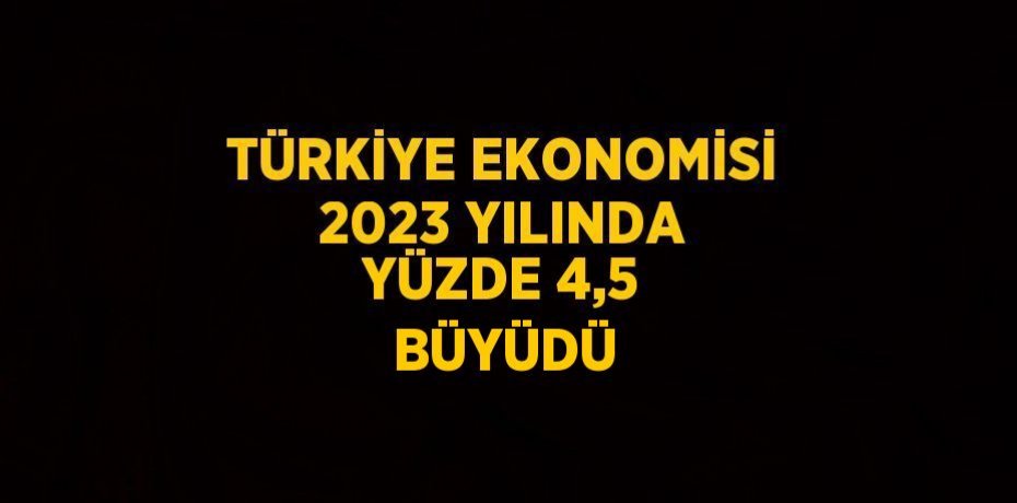 TÜRKİYE EKONOMİSİ 2023 YILINDA YÜZDE 4,5 BÜYÜDÜ