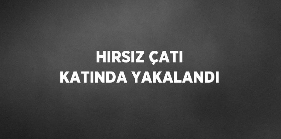 HIRSIZ ÇATI KATINDA YAKALANDI