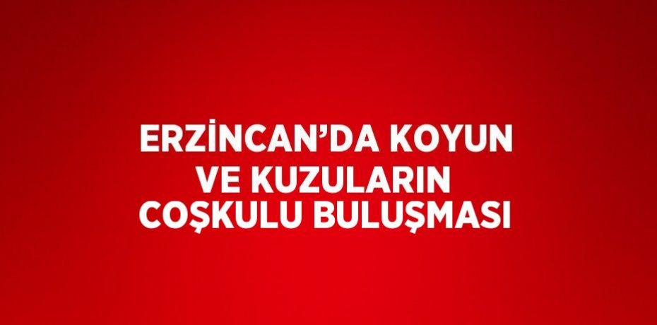ERZİNCAN’DA KOYUN VE KUZULARIN COŞKULU BULUŞMASI