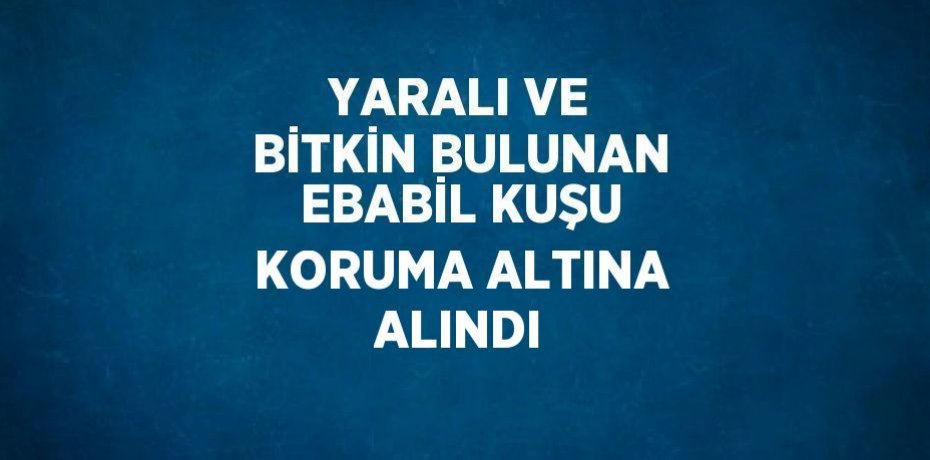 YARALI VE BİTKİN BULUNAN EBABİL KUŞU KORUMA ALTINA ALINDI