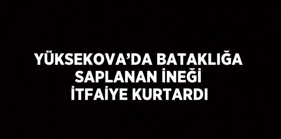 YÜKSEKOVA’DA BATAKLIĞA SAPLANAN İNEĞİ İTFAİYE KURTARDI