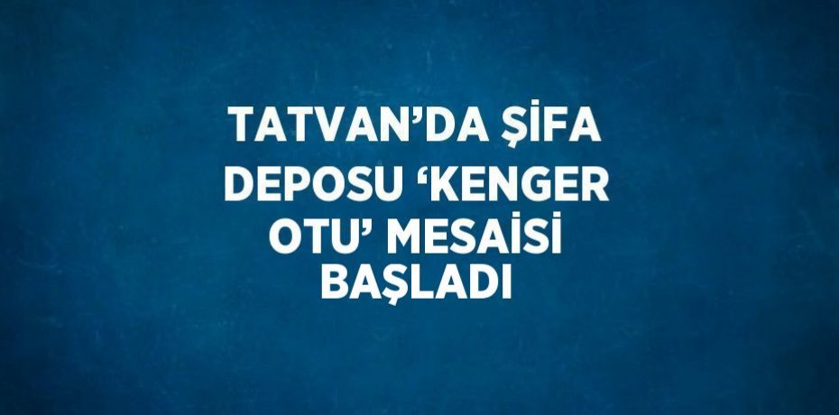 TATVAN’DA ŞİFA DEPOSU ‘KENGER OTU’ MESAİSİ BAŞLADI
