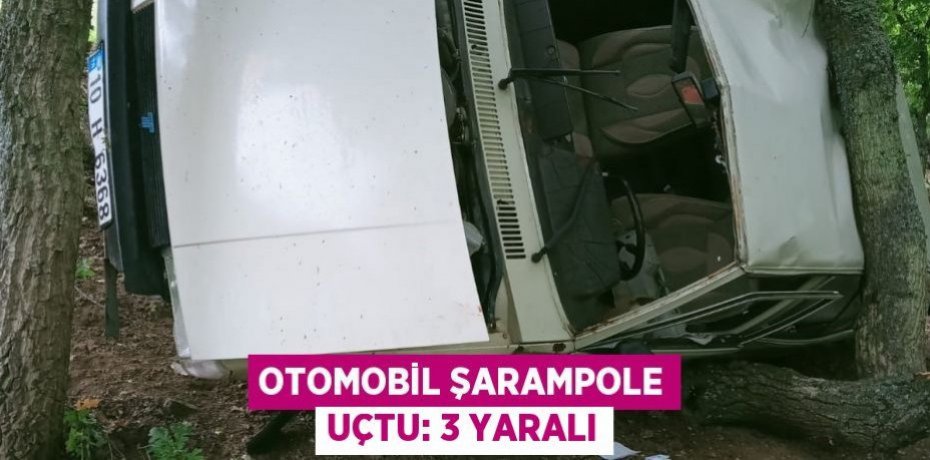 Otomobil şarampole uçtu: 3 yaralı