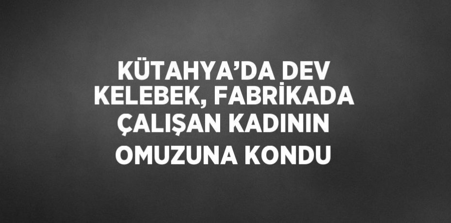 KÜTAHYA’DA DEV KELEBEK, FABRİKADA ÇALIŞAN KADININ OMUZUNA KONDU